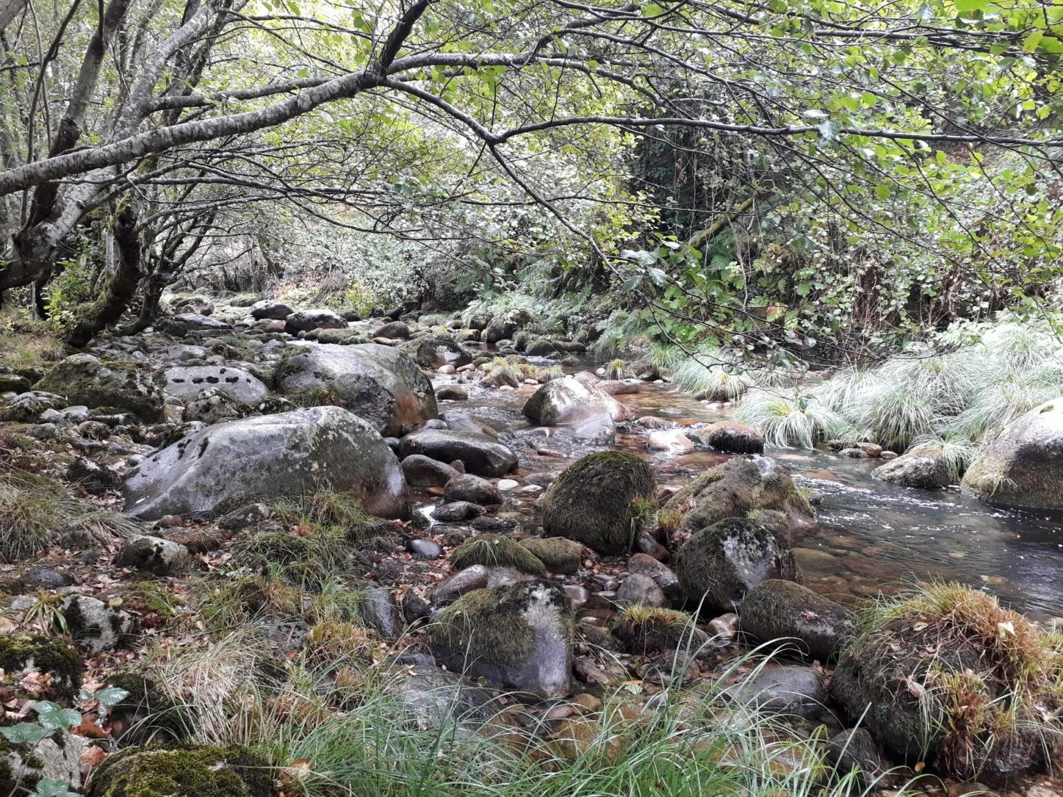 Running water mountain